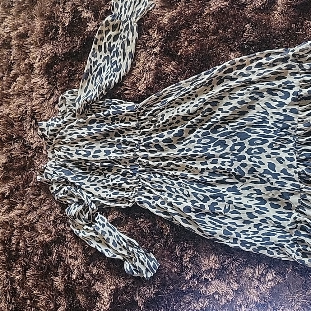 Banana Republic leopard dress.